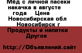Мёд с личной пасеки, накачка в августе 2015 года. › Цена ­ 400 - Новосибирская обл., Новосибирск г. Продукты и напитки » Другое   